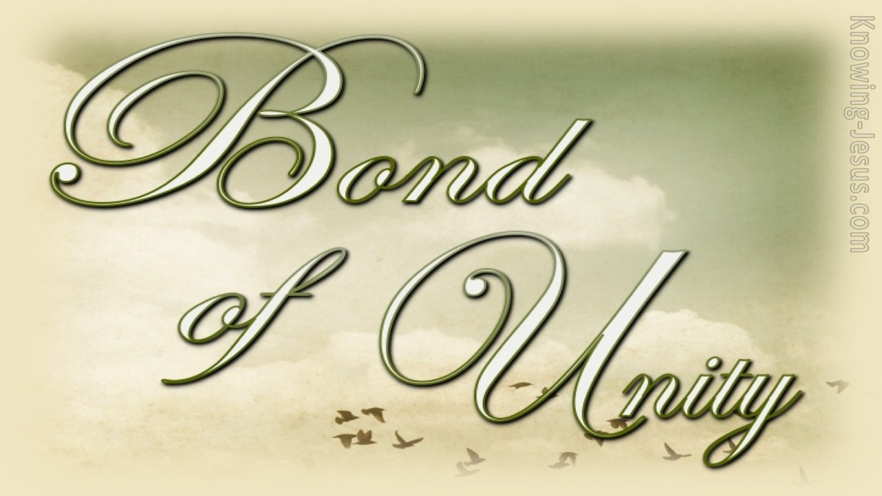 Colossians 3:14 Bond of Unity (devotional):12:19 (sage)